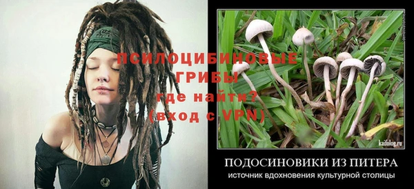 метамфетамин Алексин