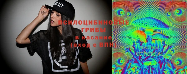 соль ск Алексеевка