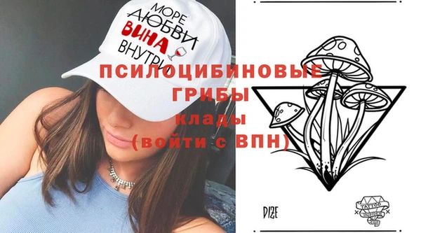 соль ск Алексеевка