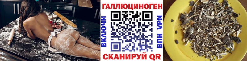 Псилоцибиновые грибы GOLDEN TEACHER  Алексин 