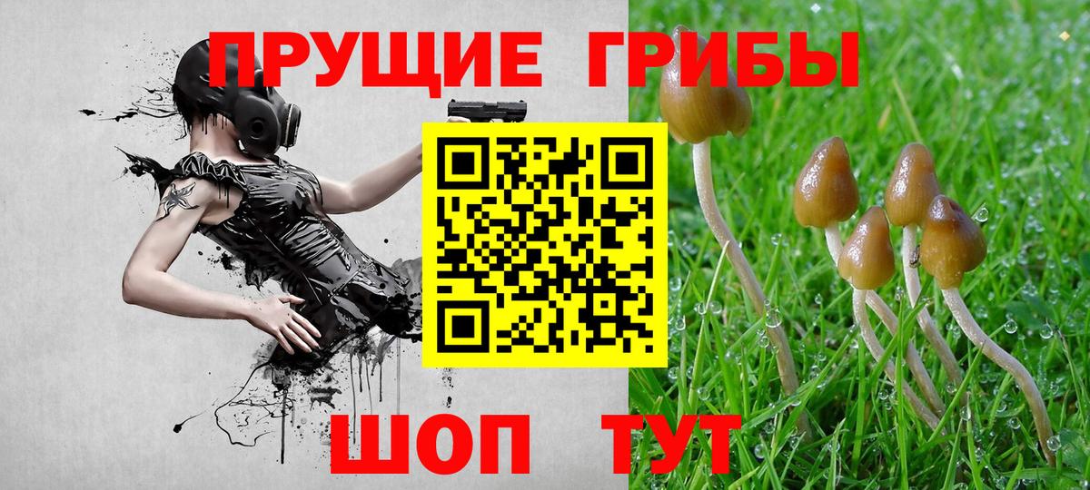 Псилоцибиновые грибы MAGIC MUSHROOMS  Вход с VPN  Алексин  Псилоцибиновые грибы прущие грибы 