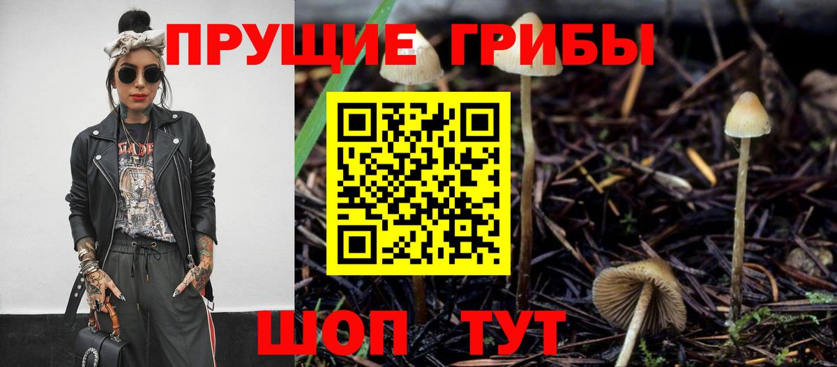 Галлюциногенные грибы GOLDEN TEACHER Алексин